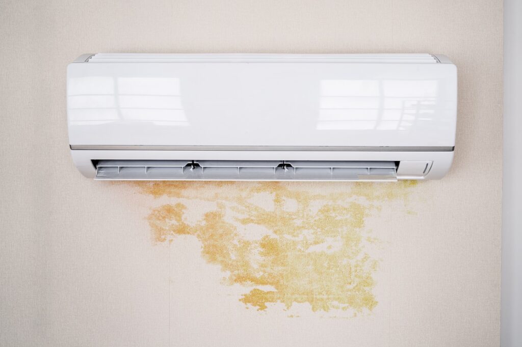 The Connection Between Air Conditioning and Seasonal Allergies