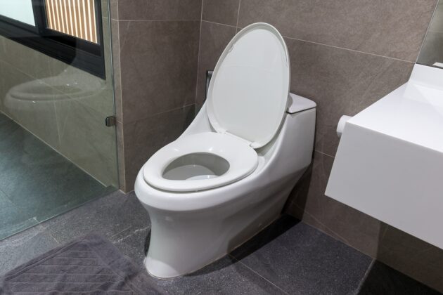 Why Your Toilet Tank Is Sweating and What It Means for Your Bathroom